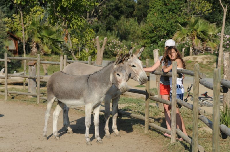 Le Palais de la Mer Languedoc-Roussillon - Sainte Marie la Mer visuel 5/6