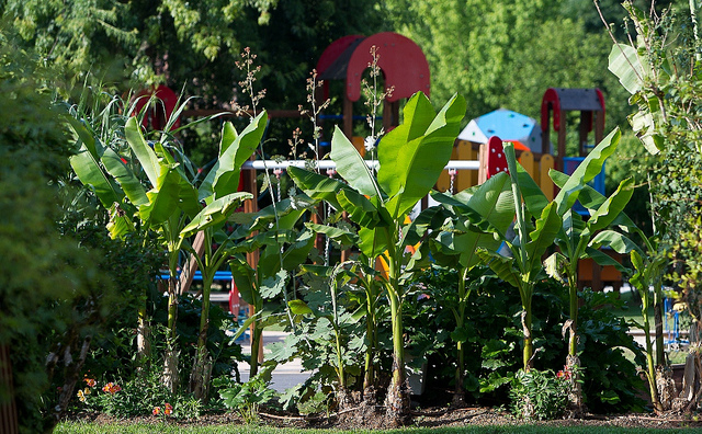 Le Paradis Aquitaine - Saint-Léon-sur-Vézère visuel 2/9
