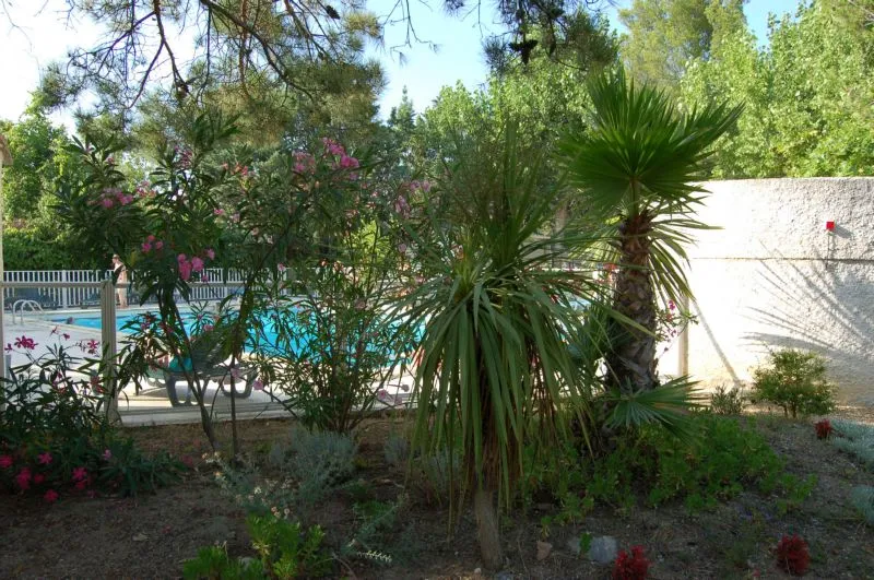 Camping Le Parc Languedoc-Roussillon - Lattes visuel 11/11