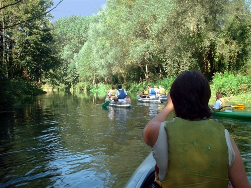 Le Parc des Cygnes Picardie - Amiens visuel 2/5 Le Parc des Cygnes Picardie - Amiens visuel 2/5