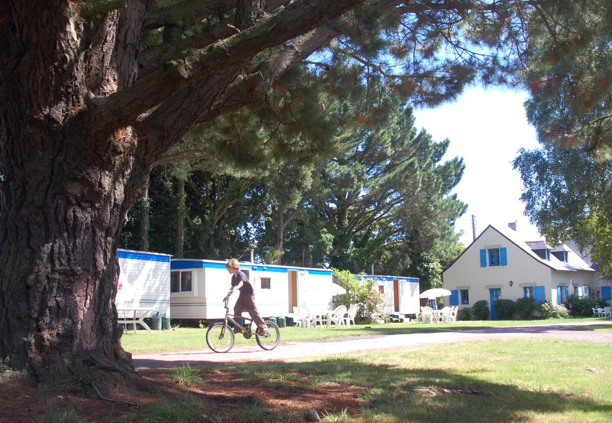 Camping Le Parc Sainte-Brigitte Pays de Loire - La Turballe visuel 2/10