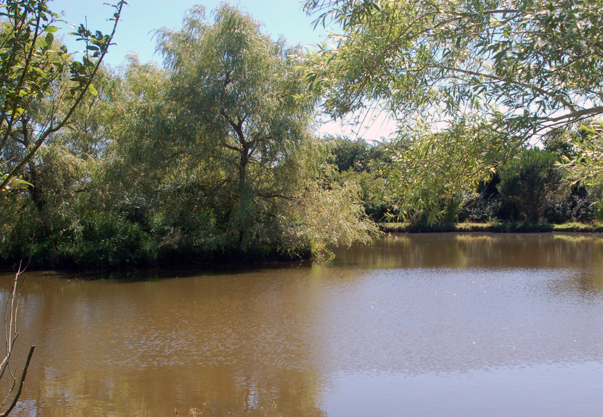 Le Parc Sainte-Brigitte Pays de Loire - La Turballe visuel 6/10