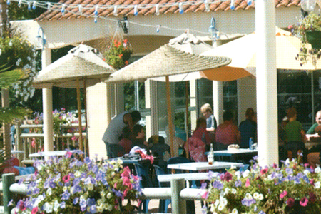 Le Pas Opton Pays de Loire - Le Fenouiller visuel 1/1