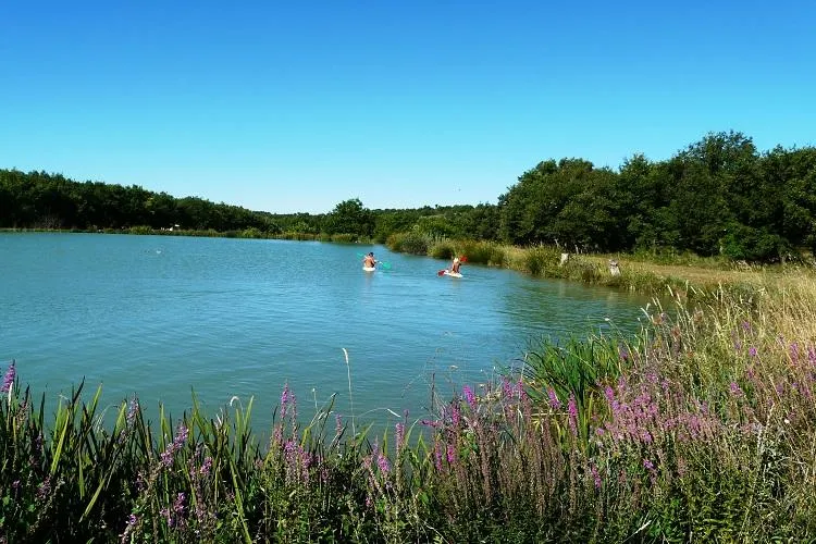 Camping Le Petit Arlane Domaine Naturiste - Provence-Alpes-Côte d'Azur - Valensole visuel 8/10
