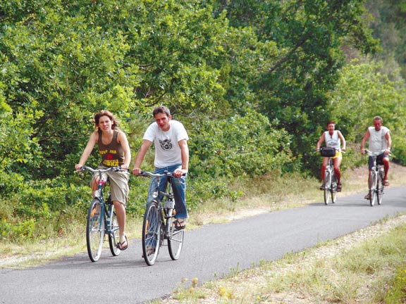 Le Petit Bois Auvergne - Ruynes en Margeride visuel 7/10