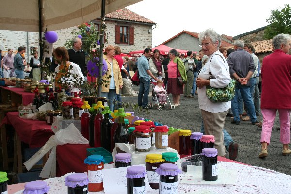 Le Petit Bois Auvergne - Ruynes en Margeride visuel 10/10