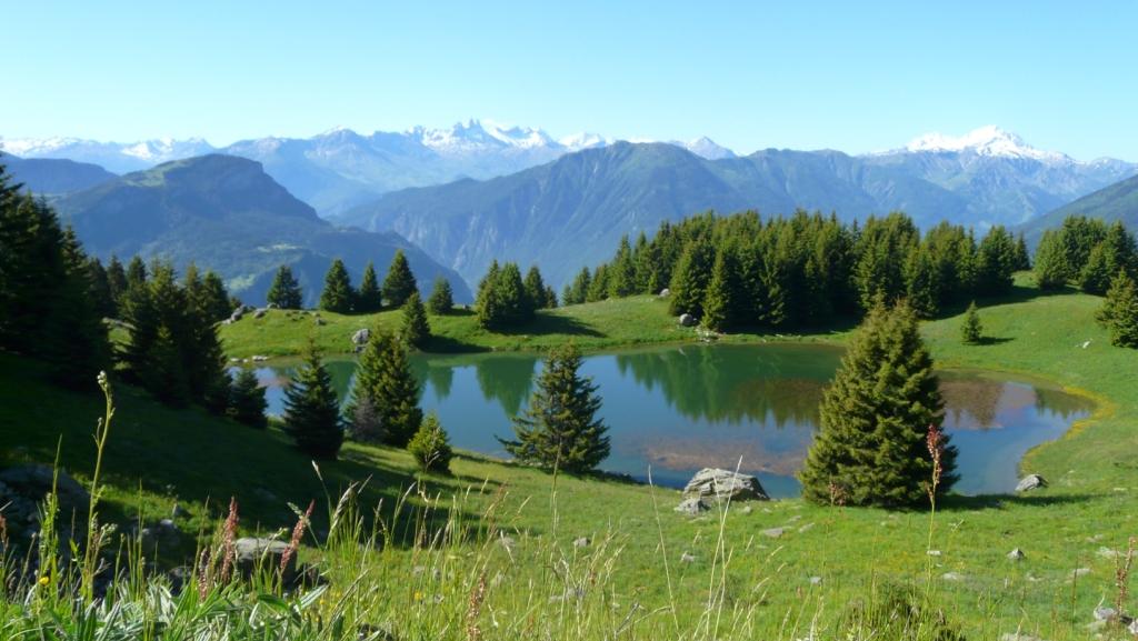 Le Petit Nice Rhône-Alpes - Saint-Martin-sur-la-Chambre visuel 1/1 Le Petit Nice Rhône-Alpes - Saint-Martin-sur-la-Chambre visuel 1/1