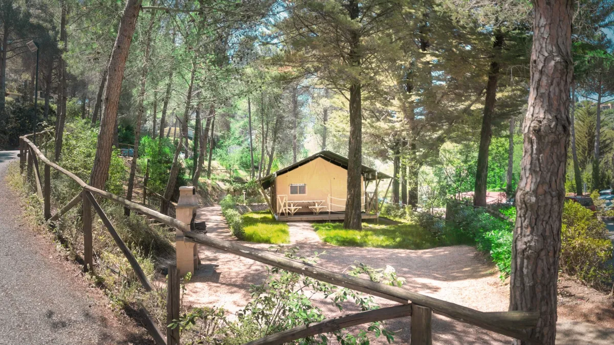 Camping Le Pianacce Toscane - Castagneto Carducci visuel 4/13