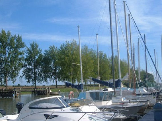 Le Port Maubert Poitou-Charentes - Saint-Fort-sur-Gironde visuel 5/5