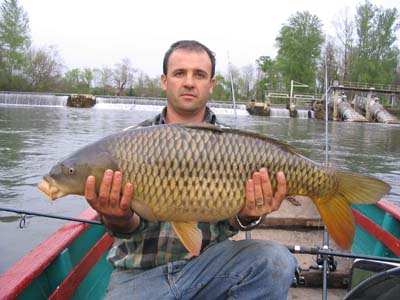 Le Pressoir Aquitaine - Petit-Palais-et-Cornemps visuel 6/11