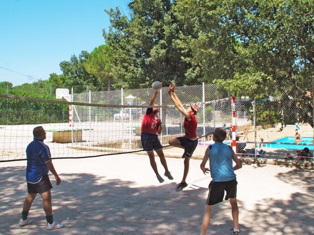 Le Provençal Provenza-Alpes-Costa Azul - Saint-Maximin-la-Sainte-Baume visuel 8/13