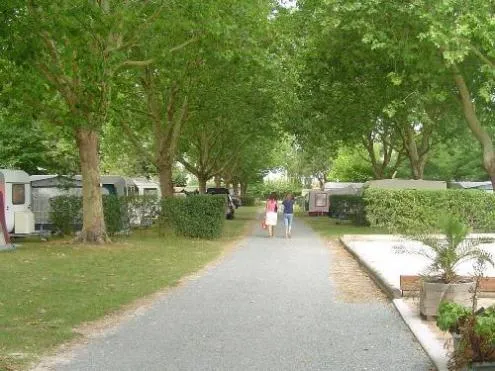 Camping Le Relax Poitou-Charentes - Breuillet visuel 9/10
