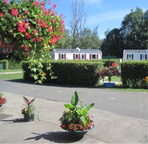 Le Renom Rhône-Alpes - Vonnas visuel 5/10