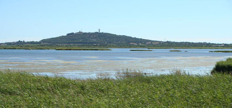 Le Rochelongue Languedoc-Roussillon - Agde visuel 13/13