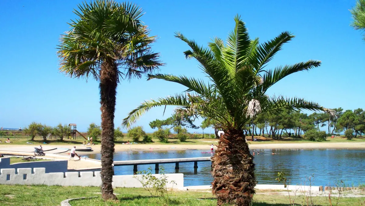 Camping Le Roumingue Aquitaine - Lanton visuel 6/10