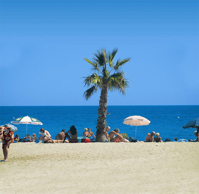 Le Roussillon Languedoc-Roussillon - Saint-Cyprien visuel 11/11 Le Roussillon Languedoc-Roussillon - Saint-Cyprien visuel 11/11