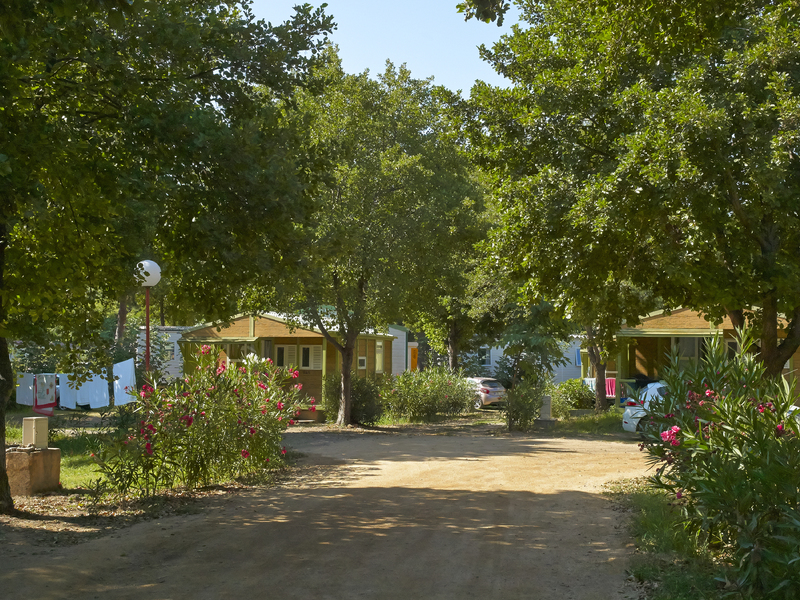 Le Sagone Corse - Sagone visuel 8/9