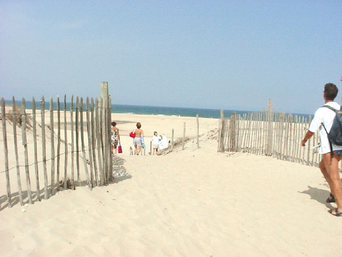 Le Saint Martin Aquitaine - Moliets-et-Maa visuel 9/10