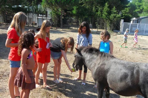Camping Le Sainte Marie Languedoc-Roussillon - Sainte Marie la Mer visuel 9/12