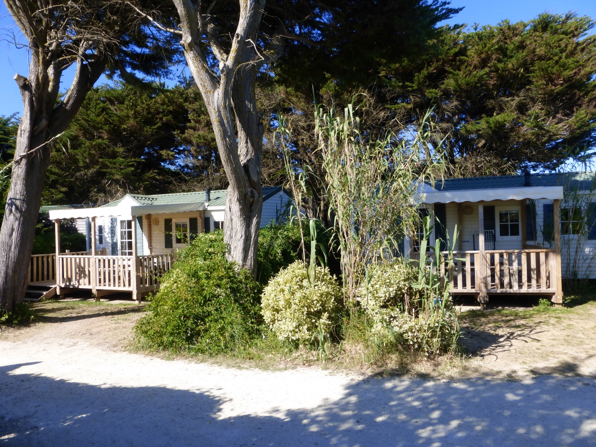 Le Soleil Poitou-Charentes - Ars-en-Ré visuel 3/5