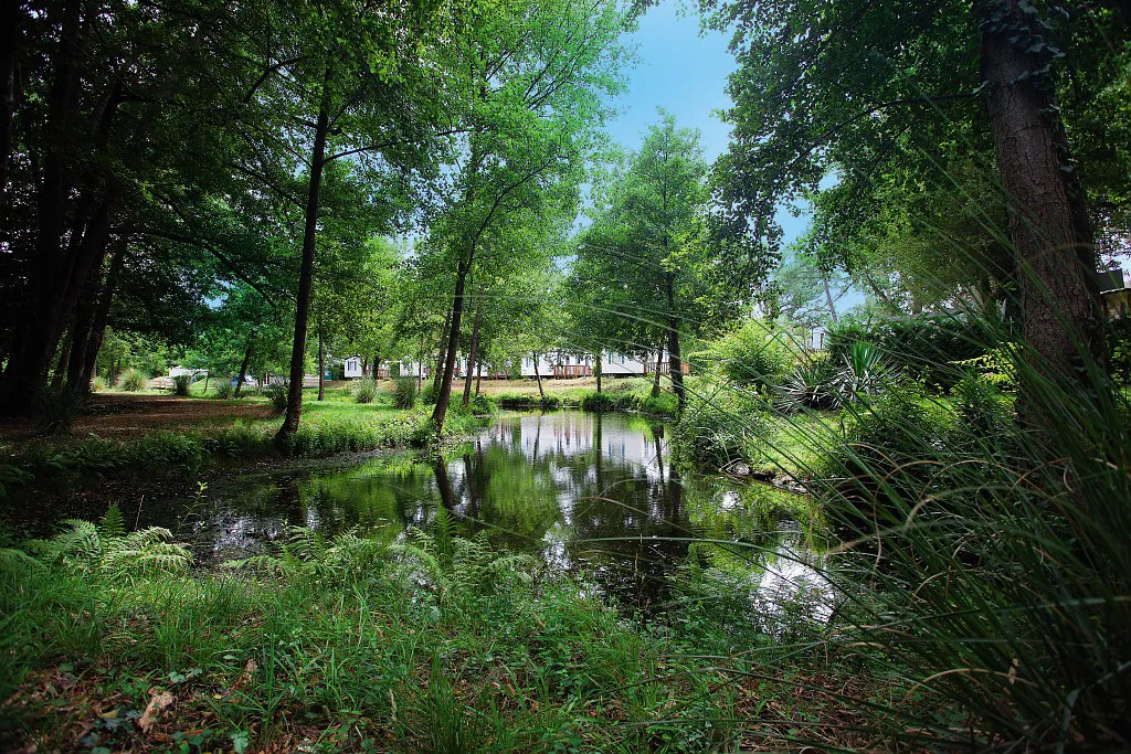 Camping Le Soleil des Landes Aquitaine - Lit-et-Mixe visuel 12/16