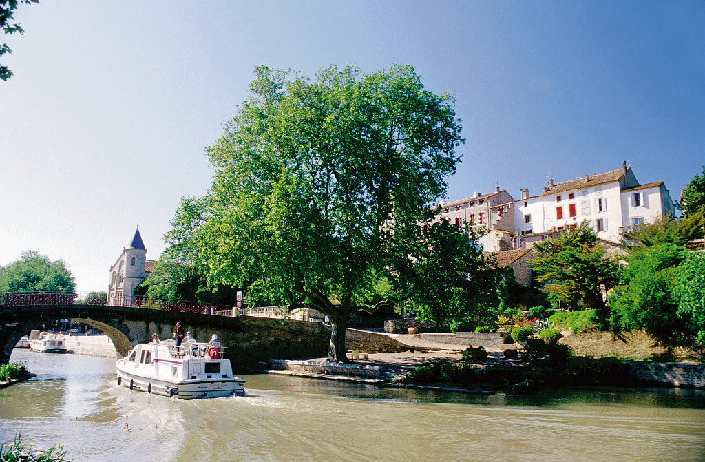 Le Val de Cesse Languedoc-Roussillon - Mirepeisset visuel 12/15