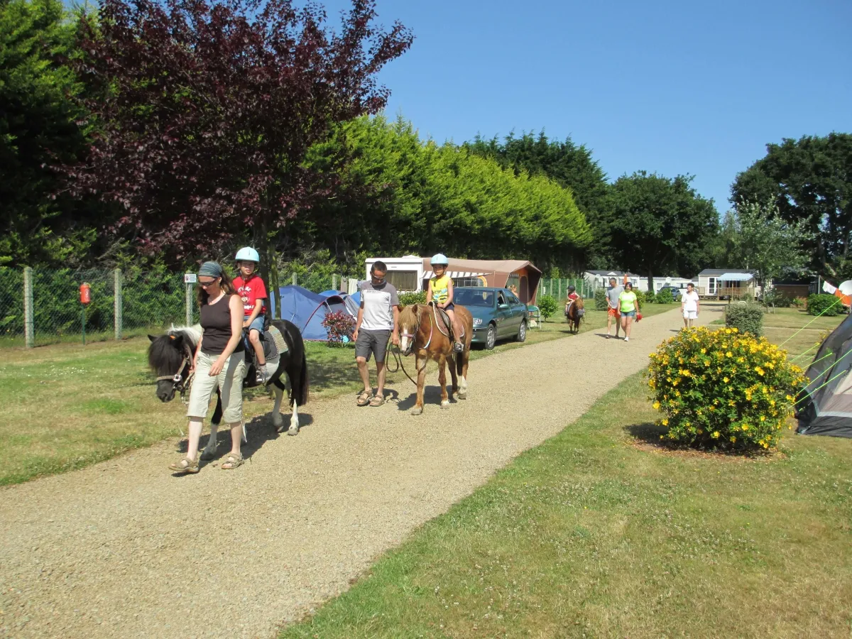 Camping Le Varquez-sur-Mer Bretagne - Plouha visuel 4/9
