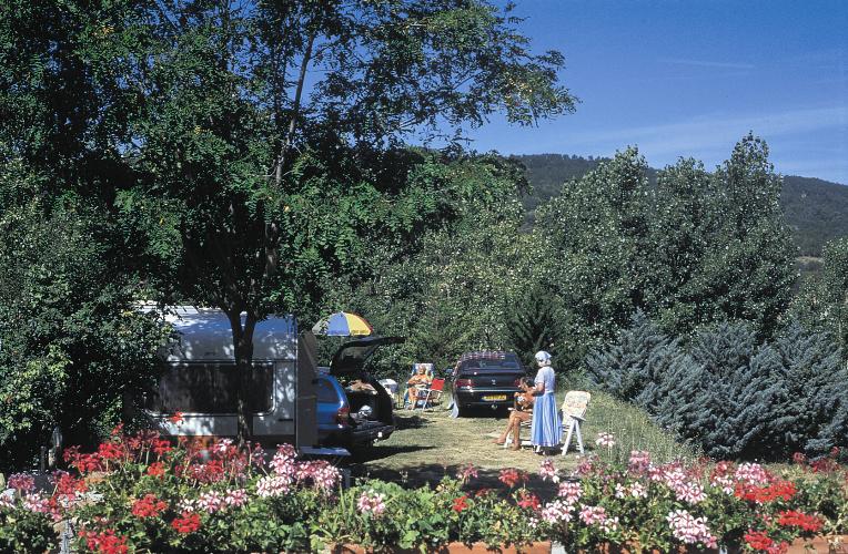 Le Vieux Colombier Provence-Alpes-Côte d'Azur - Moustiers-Sainte-Marie visuel 1/1