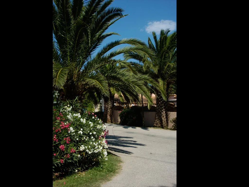 Camping Le Village Del Mar Languedoc-Roussillon - Argelès-sur-Mer visuel 9/11