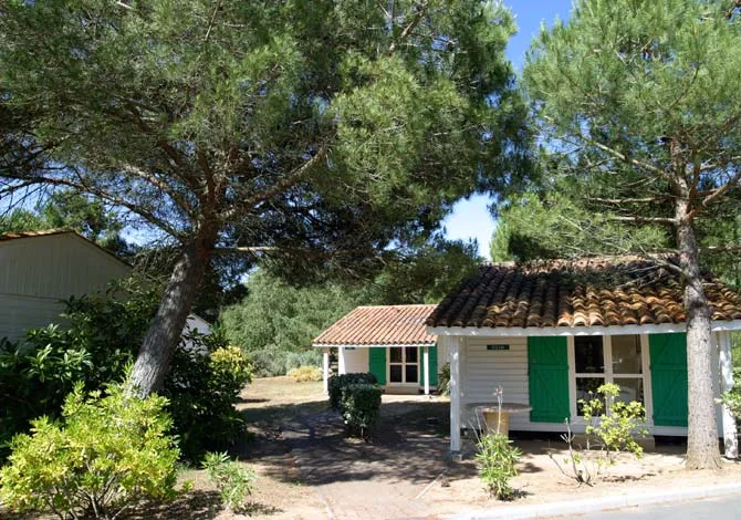 Camping Le Village Océanique Poitou-Charentes - Le Bois-Plage-en-Ré visuel 6/7