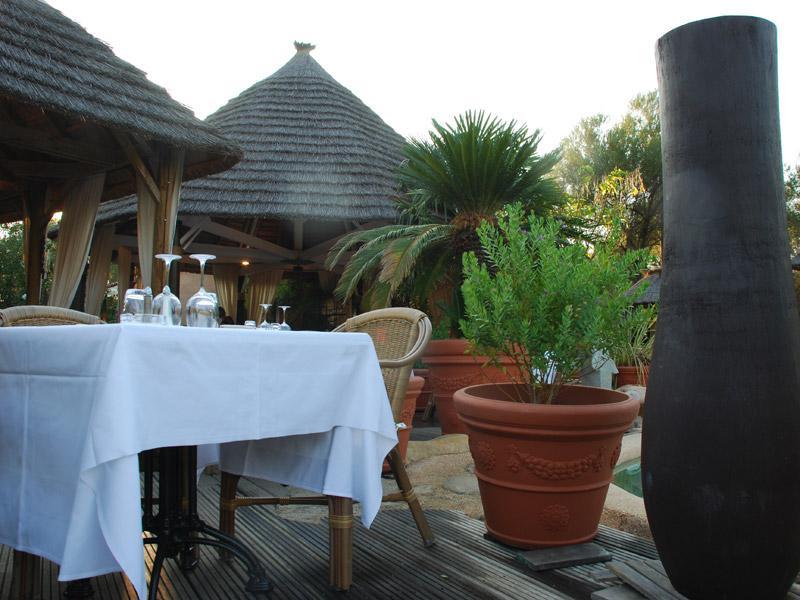 Lecci e Murta Corse - Belvédère-Campomoro visuel 4/7