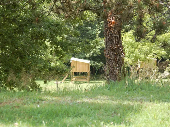 Camping l'Ecrin Nature Limousin - Ambazac visuel 8/10