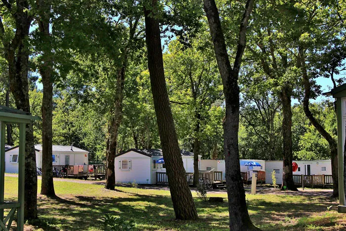 Camping L'Ecureuil Poitou-Charentes - Saint-Augustin visuel 10/10