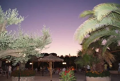 Camping Leï Suves Provence-Alpes-Côte d'Azur - Roquebrune-sur Argens visuel 3/10