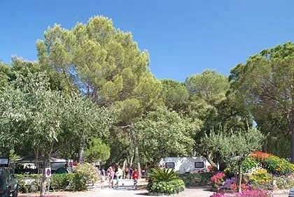 Camping Leï Suves Provence-Alpes-Côte d'Azur - Roquebrune-sur Argens visuel 7/10