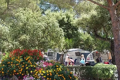 Camping Leï Suves Provence-Alpes-Côte d'Azur - Roquebrune-sur Argens visuel 10/10
