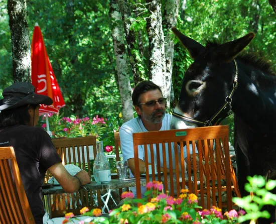 Camping Les 3 Cantons Midi-Pyrénées - Saint-Antonin-Noble-Val visuel 8/10