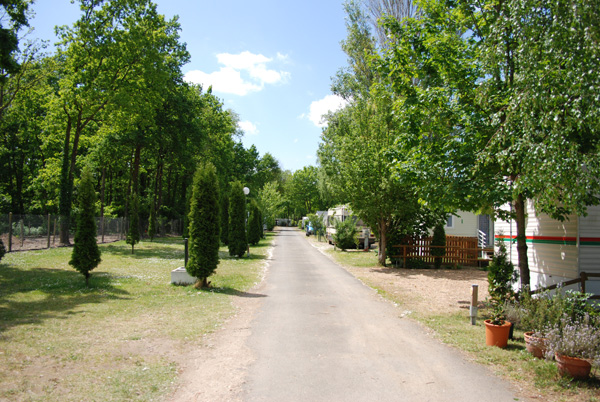 Les Acacias Grand Centre - La Ville-aux-Dames visuel 8/10