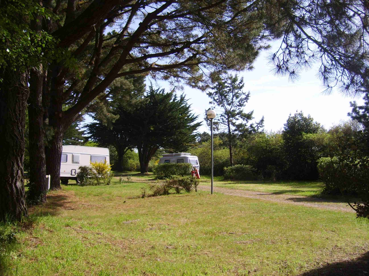 Les Ajoncs d'Or Países del Loira - La Baule-Escoublac visuel 15/41