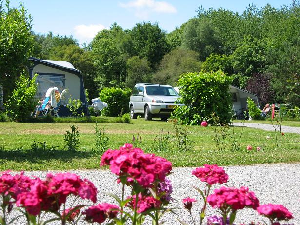 Les Alouettes Limousin - Cognac-la-Forêt visuel 8/10