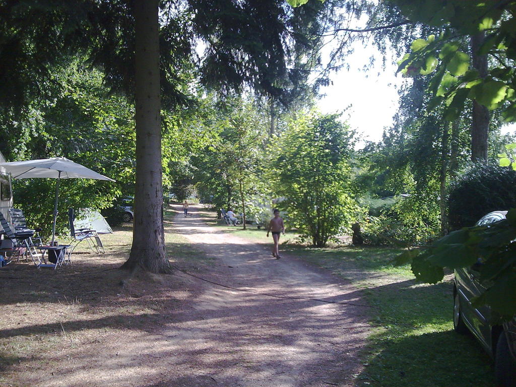 Les Araucarias Picardie - Carlepont visuel 1/1 Les Araucarias Picardie - Carlepont visuel 1/1