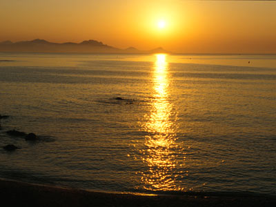 Les Arbousiers Provence-Alpes-Côte d'Azur - Carqueiranne visuel 9/9