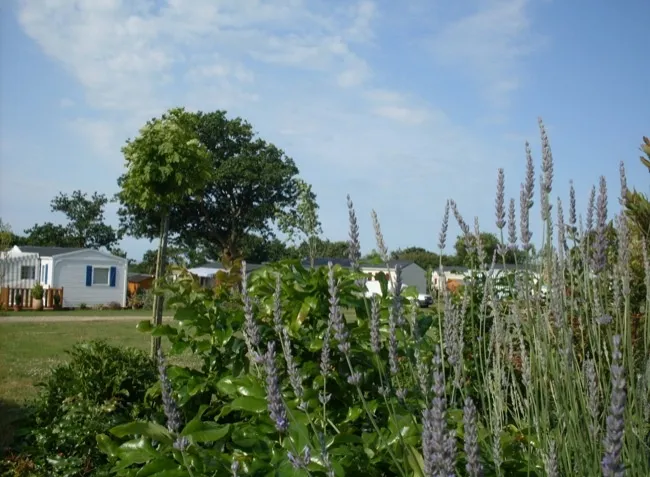 Camping Les Brillas Pays de Loire - Les Moutiers en Retz visuel 13/16