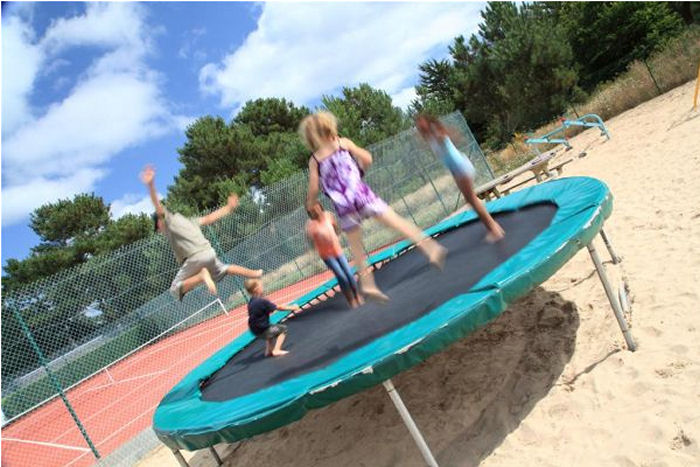 les Bruyères Bretagne - Plouharnel visuel 5/10 les Bruyères Bretagne - Plouharnel visuel 5/10