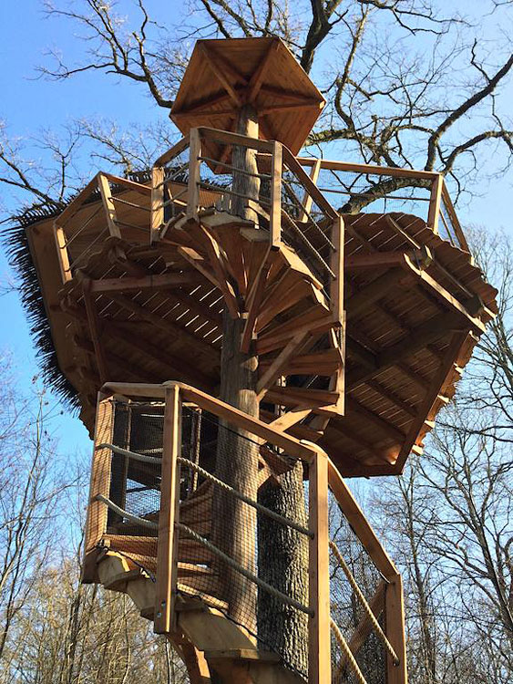 Les Cabanes au Bois d'Orient Champagne-Ardennes - Briel-sur-Barse visuel 3/10