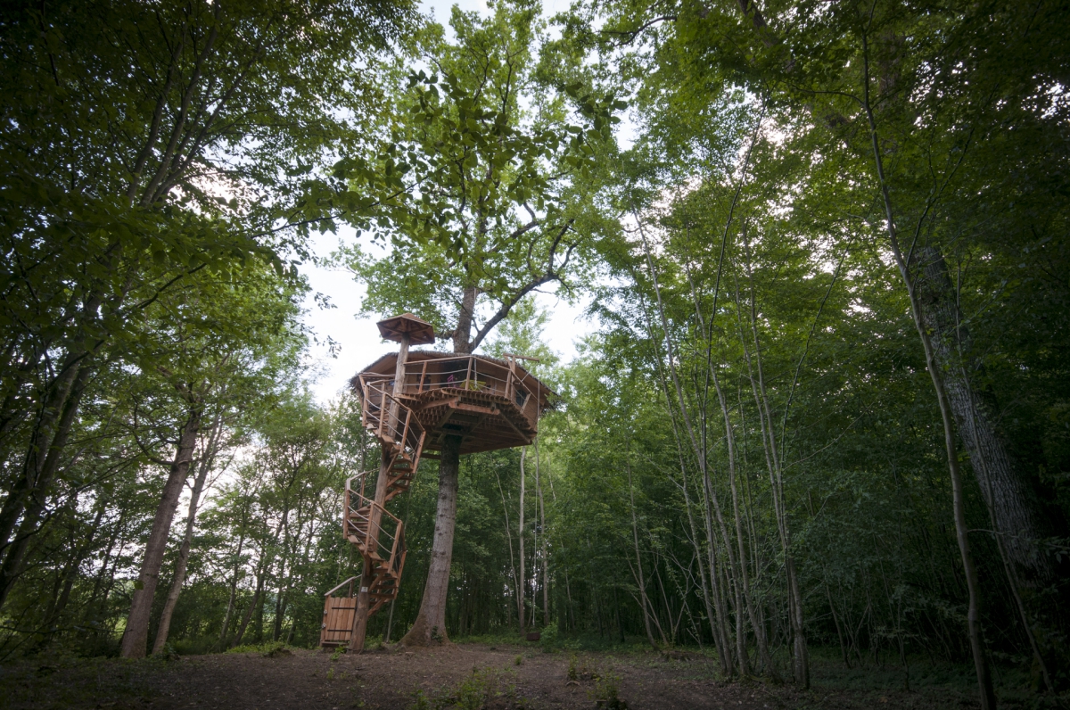Les Cabanes au Bois d'Orient Champagne-Ardennes - Briel-sur-Barse visuel 10/10