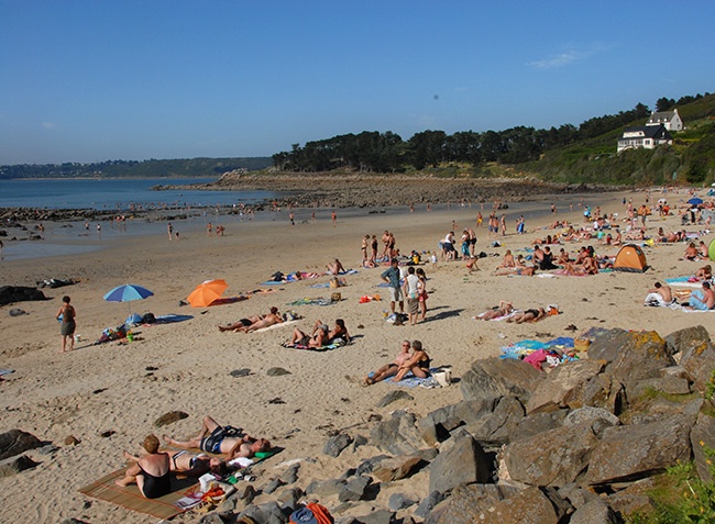 Les Capucines Bretagne - Trédrez-Locquémeau visuel 12/15