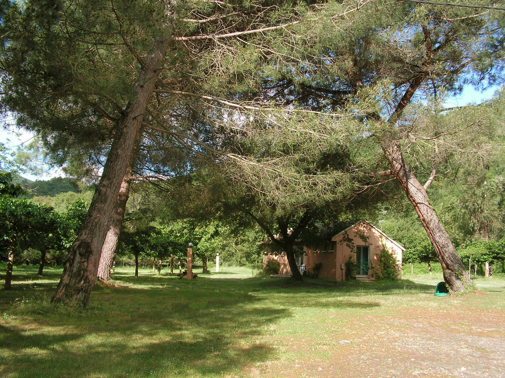 Les Cascades Corse - Pruno visuel 1/2 Les Cascades Corse - Pruno visuel 1/2