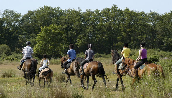 Les Catalpas Aquitaine - Fumel visuel 4/9