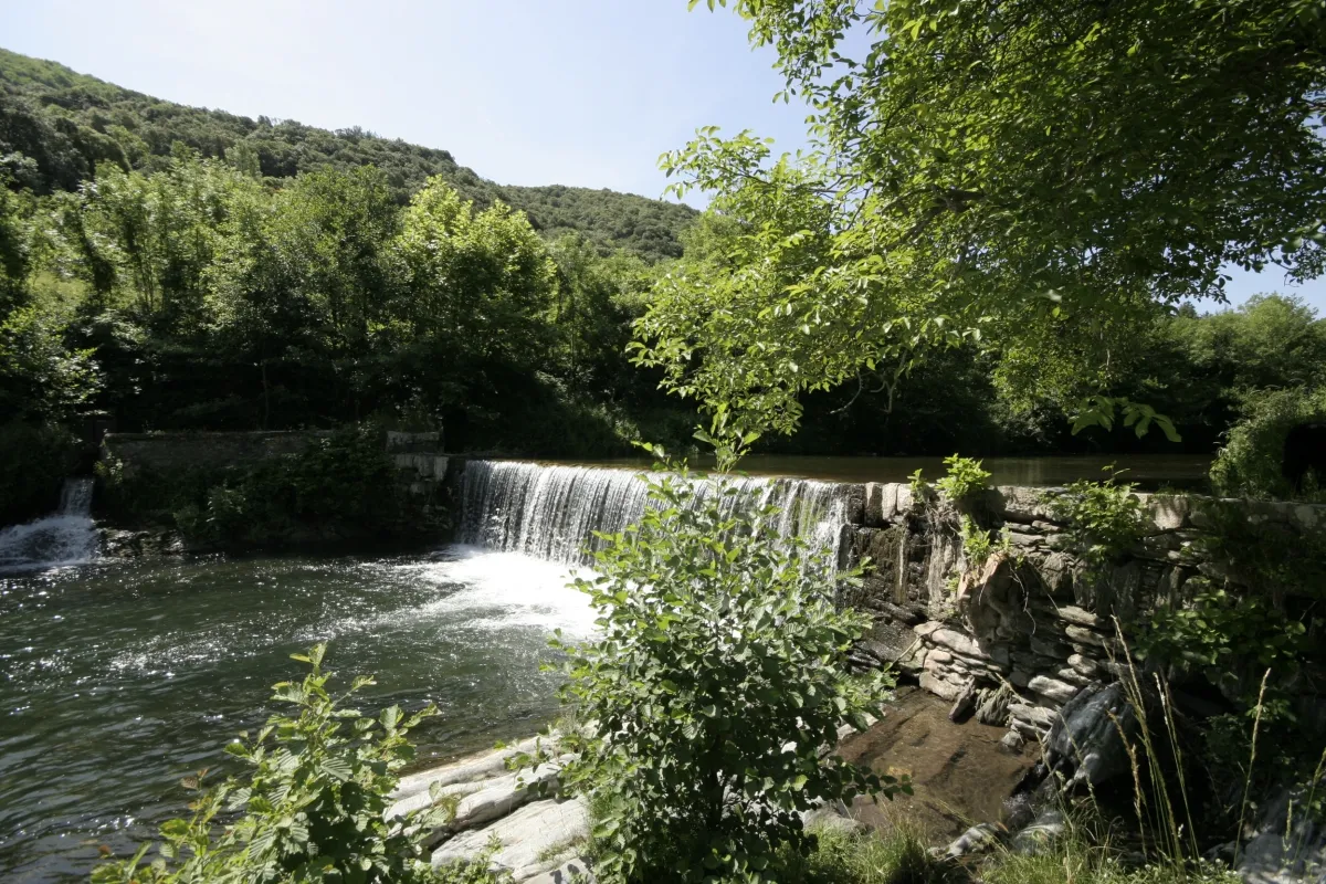 Camping Les Cerisiers du Jaur Languedoc-Roussillon - Saint-Pons de Thomières visuel 3/9
